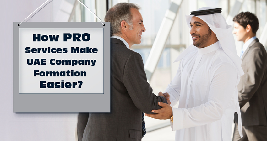 5 Roles of Pro Services in the UAE